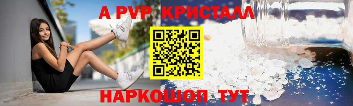 A-PVP СК КРИС Липецк