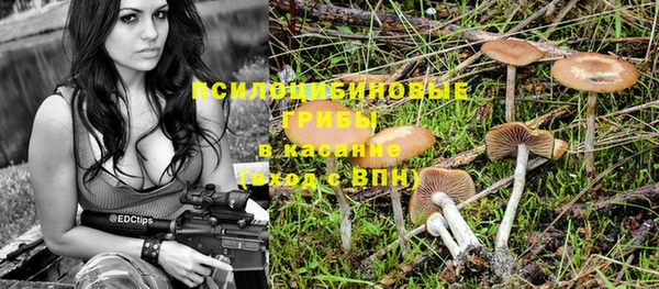дживик Абинск