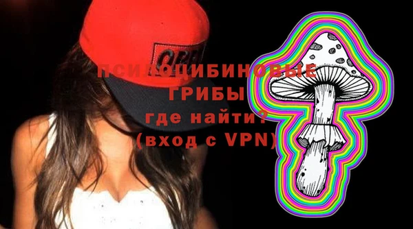 метадон Галич