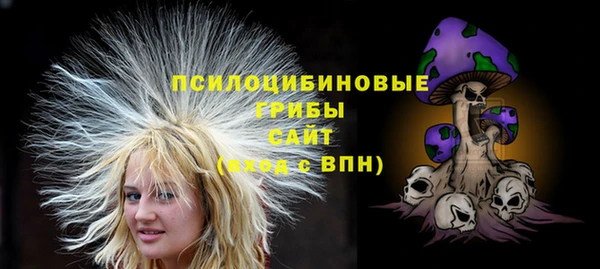 Альфа ПВП Абаза