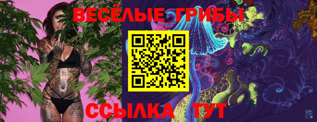 Галлюциногенные грибы GOLDEN TEACHER  Вход с VPN  Липецк 